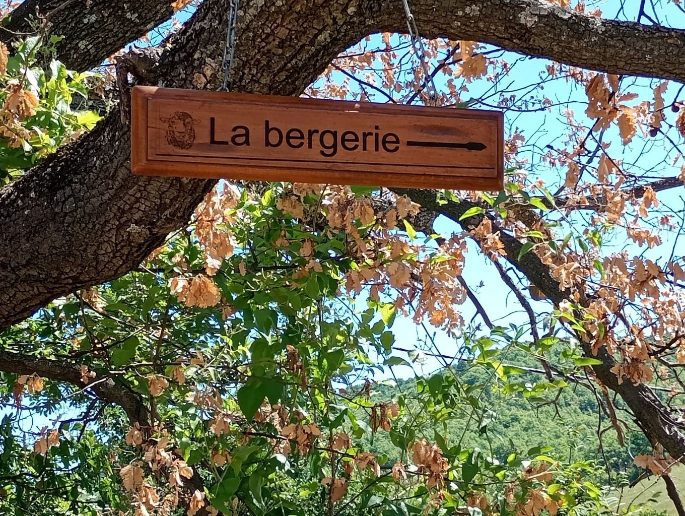 Direction "La Bergerie"