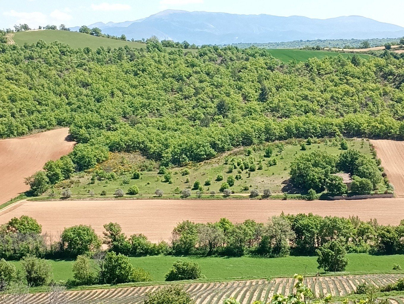 Vue de la Bergerie